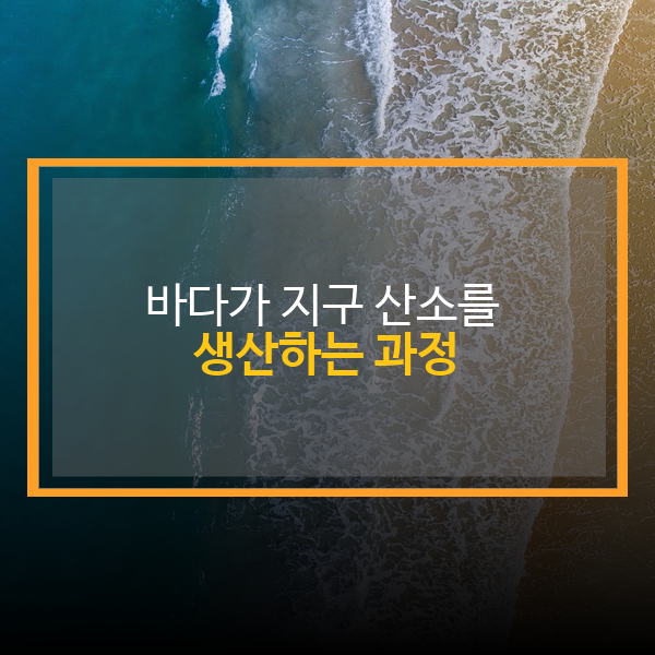 바다가 지구 산소를 생산하는 과정: 푸른 숨결의 비밀